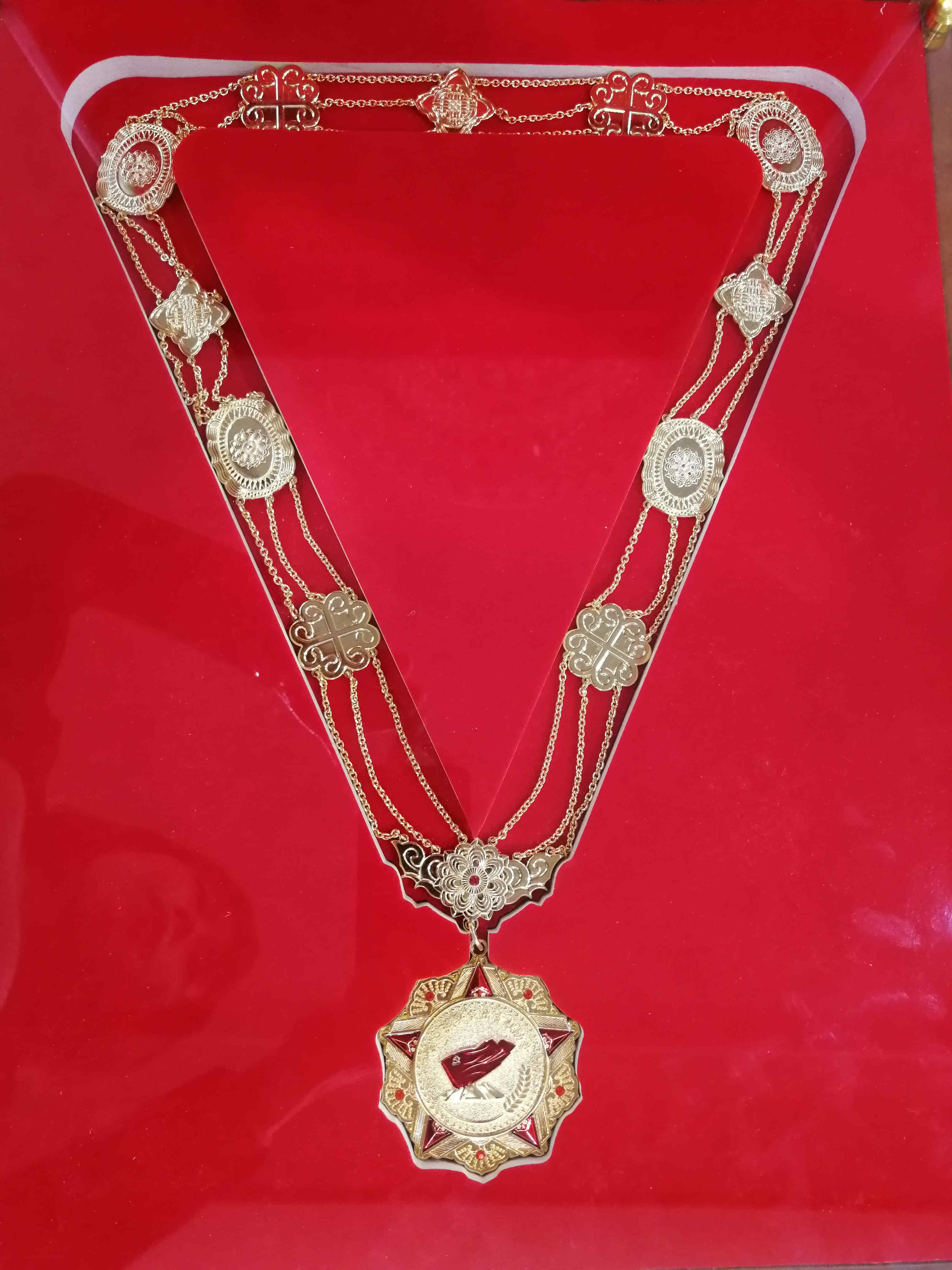 延吉市朝陽(yáng)川鎮(zhèn)鄉(xiāng)村振興突出貢獻(xiàn)勛章勛章